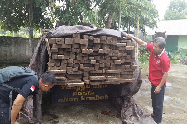 Barang Bukti Penangkapan Empat Kubik Kayu Jenis Cempaka,Satu Unit Mobil Truk, Bersama Ketua Tim Gabungan BTNBNW Paka Mandus Dan Pak Ridwan Di Halaman BTNBNW