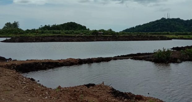 Foto: Nampak Kawasan Hutan Manggrove di Desa Tuyat, Kabupaten Bolmong.Diduga telah dirusak oleh oknum dan di jadikan tambak udang milik pribadi