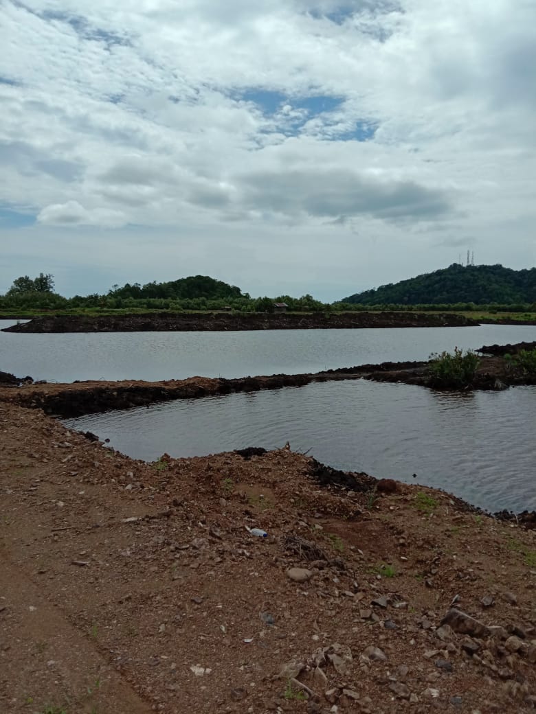 Foto: Nampak Kawasan Hutan Manggrove di Desa Tuyat, Kabupaten Bolmong.Diduga telah dirusak oleh oknum dan di jadikan tambak udang milik pribadi